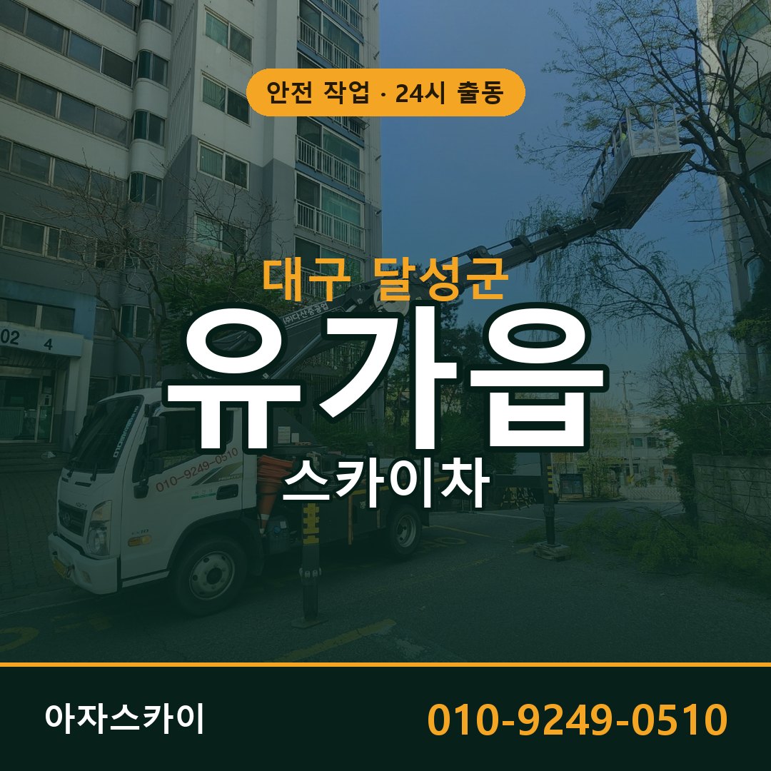 유가읍 스카이차, 대구 달성군 어디든 아자스카이