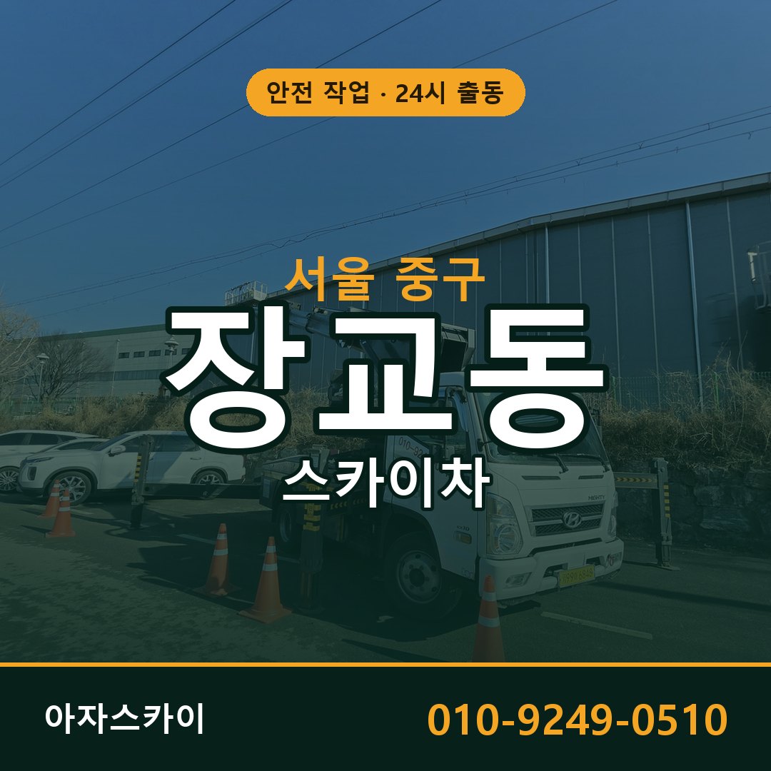 서울 중구 장교동 스카이차 전문 아자스카이 - 24시 배차