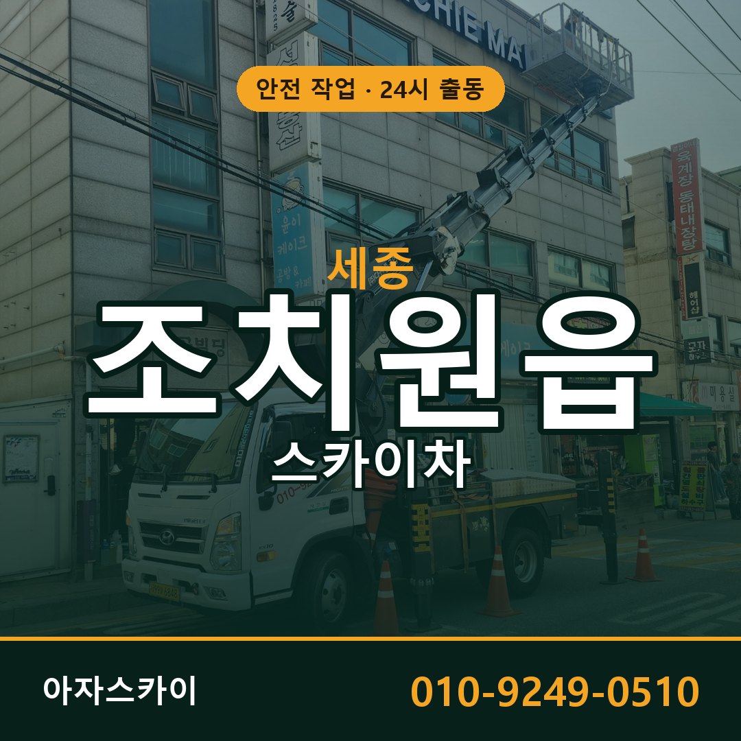 세종 조치원읍 스카이차 전문 아자스카이 - 24시 배차