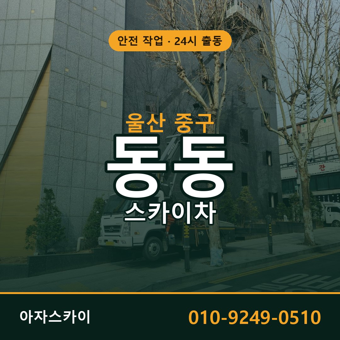 울산 중구 동동 스카이차 전문 아자스카이 - 24시 배차