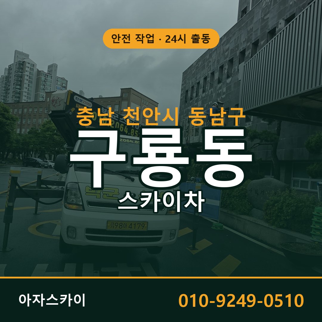 충남 천안시 동남구 구룡동 스카이차 전문 아자스카이 - 24시 배차